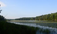 Early Morning at the Lake