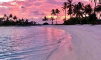 Waking up on the beach