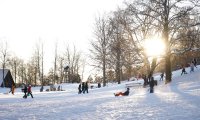 Children and parents playing in the snow.