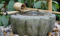 Meditation in a zen garden