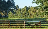 Southern Summer Afternoon