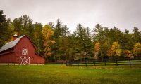 Lazy Day on the Farm