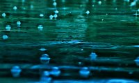 Rain on the Temple Roof