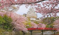 Feudal japan countryside