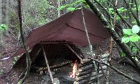 Sitting in a shelter next to a camp fire at night, with some light rain, and some chirping animals.