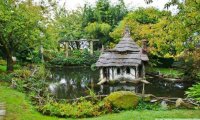 Gardening Near the Pond