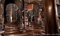 Hogwarts' Library - preparing for O.W.L.-s