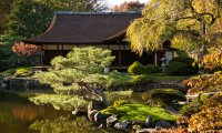 Japanese Garden and Tea House