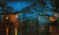 Night in the Bayou