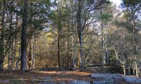 Sounds of Connecticut in winter