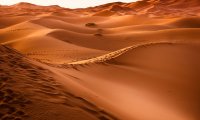 Arrakis - Dune - Desert Planet