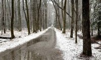 Winter storm out side but cozy and safe inside