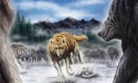 Battle against wolves or wargs