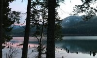 Light Piano and Cello accompanied by Birds singing and a Stream Babbaling