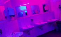 In the nightclub WC