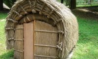 A chicken coop built deep in the woods