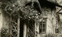 Asleep in A Cabin By The Creek