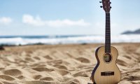 Ukelele by the Surf