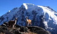 Mountains of Bolivia