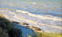 Sea, sand, seagulls