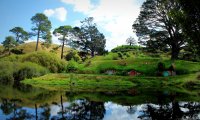 Spring day in the garden of Bag End, writing in the shade of an Oak