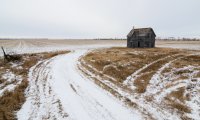 Cabin in the winter