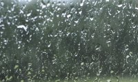 The Sound of Rain from Inside a Quiet Room