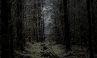 Gothic Forrest Ambience