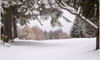 The Evening Sounds of a Winter Cabin