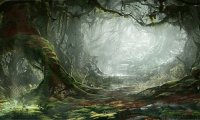 Eerie Mirkwood Forest