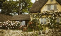 Reading by a cottage house