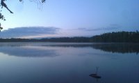 By a Forest Lake at Night