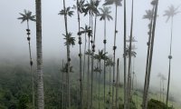 Relaxing rain/thunder/'aboriginal flute'