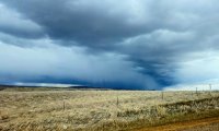 Peaceful rainstorm heard from bedroom or living area