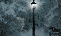 Narnia Lamp at Night