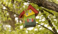 Writing by the Bird Feeder