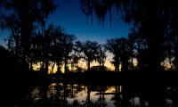 Just a night out in the bayou