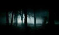 Dark Spooky Forest with Howling and... Was That a Scream?