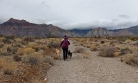 Relaxing Desert Hike