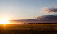 Ambient Nature at the sunset