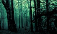 Lost in a dark fantasy forest