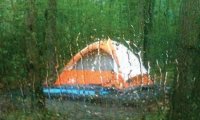 Camping in the forest on a stormy night