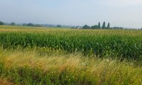 a relaxing day on the farm away from the cares of the world