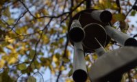 Gentle Wind Chimes