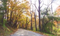 Autumn Countryside