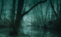 Horror swamp