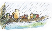 A stormy day in the Hundred Acre Wood