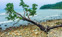 Calm Sea Pebbled Shore