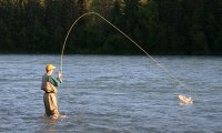 Kenai Riverbank