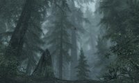 Skyrim: Falkreath, Daytime